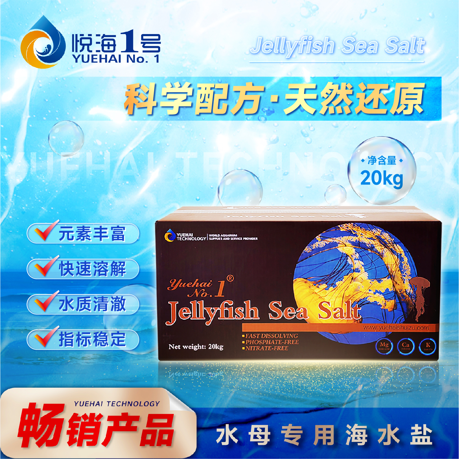 Jellyfish sea salt-box