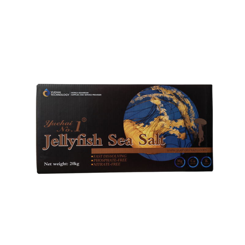 Jellyfish sea salt-box